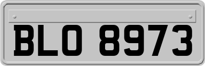 BLO8973