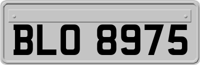 BLO8975
