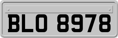 BLO8978
