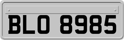 BLO8985