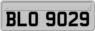BLO9029