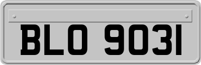 BLO9031