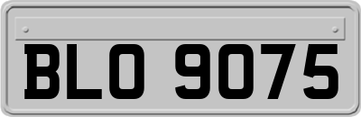 BLO9075