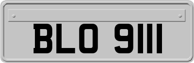 BLO9111