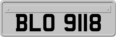 BLO9118
