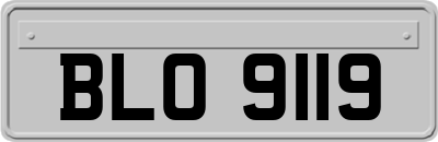 BLO9119