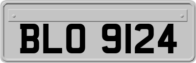 BLO9124
