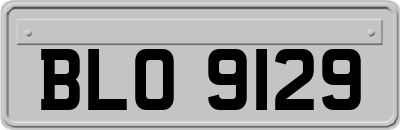 BLO9129
