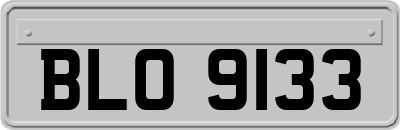 BLO9133