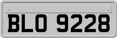 BLO9228