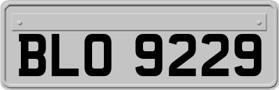 BLO9229