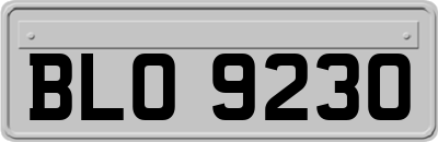 BLO9230