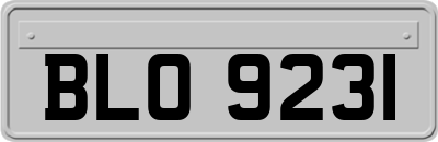 BLO9231