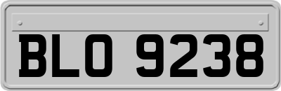 BLO9238