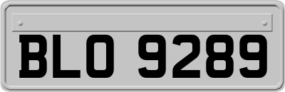 BLO9289