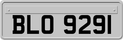 BLO9291
