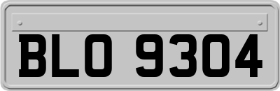 BLO9304