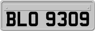 BLO9309