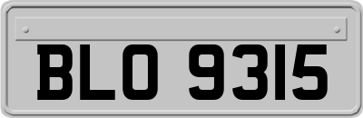 BLO9315