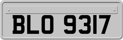 BLO9317