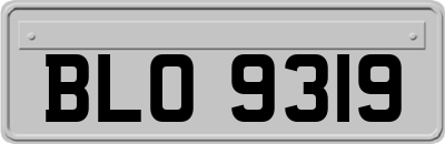 BLO9319