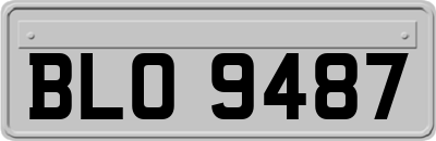 BLO9487