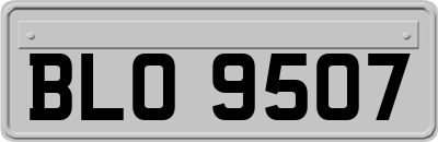 BLO9507