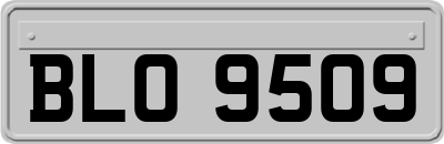 BLO9509