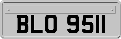 BLO9511