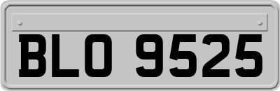 BLO9525