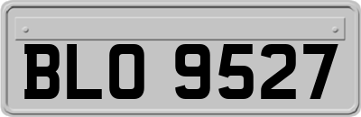 BLO9527