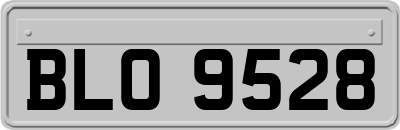 BLO9528
