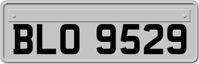 BLO9529