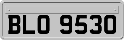 BLO9530