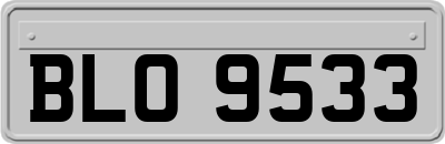 BLO9533