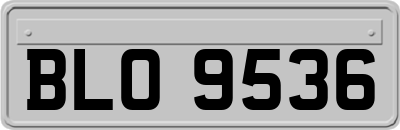 BLO9536