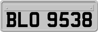 BLO9538