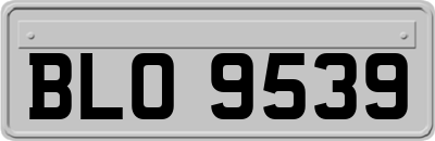 BLO9539
