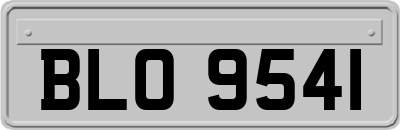 BLO9541