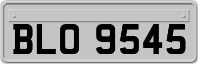 BLO9545