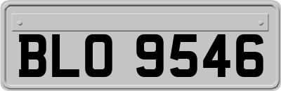 BLO9546