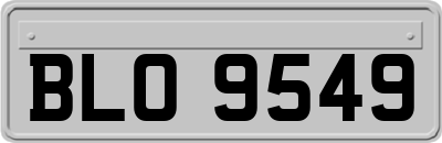 BLO9549