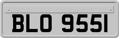 BLO9551