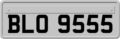 BLO9555