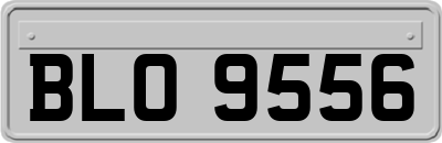 BLO9556