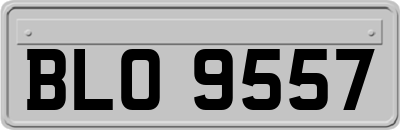 BLO9557