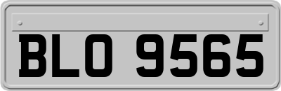 BLO9565