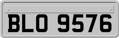 BLO9576