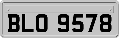 BLO9578