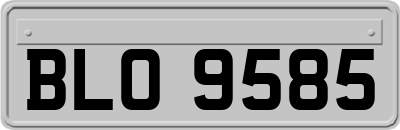 BLO9585